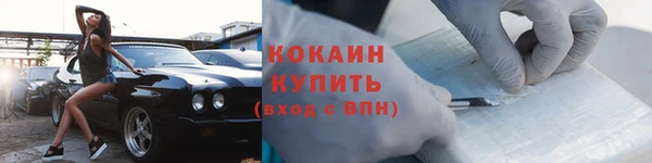 шишки Нея