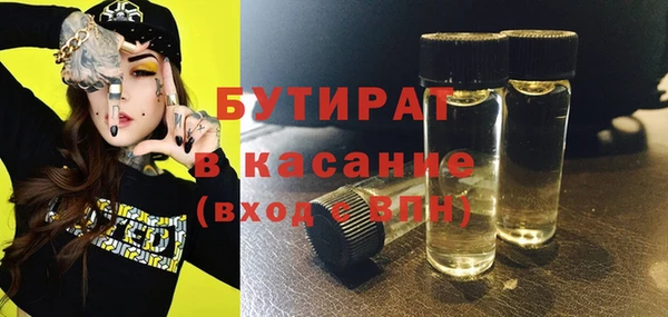 шишки Нея